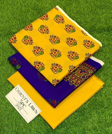 Print lawn 3pc Suit
